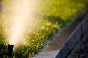 irrigation system installed by our La Jolla sprinkler repair techs