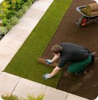Contractor Laying Grass